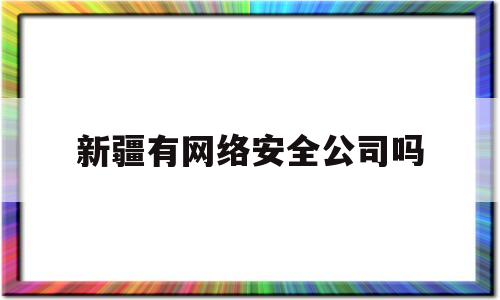 新疆有网络安全公司吗(新疆公司网络信息安全基本要求)