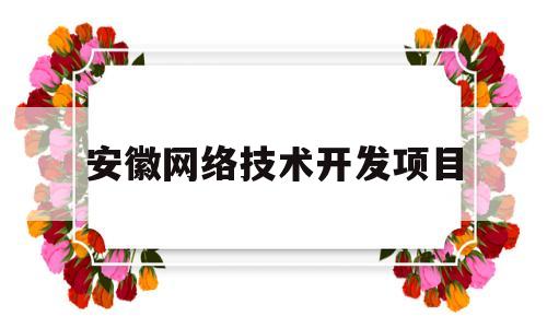 安徽网络技术开发项目(安徽网站开发项目)