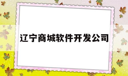 辽宁商城软件开发公司(辽宁商城软件开发公司有哪些)