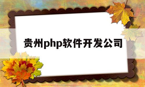 贵州php软件开发公司(贵州省软件开发行业协会)