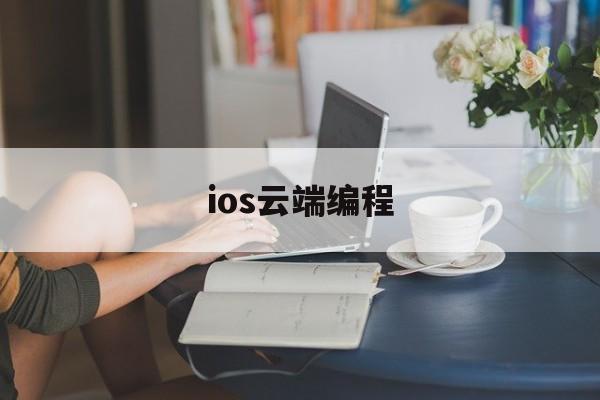 ios云端编程(云端编程的挑战和未来是什么)