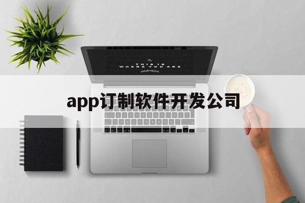 app订制软件开发公司(app定制开发需要多少钱)