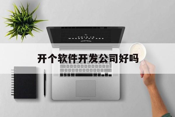 开个软件开发公司好吗(开软件开发公司要投资多少)