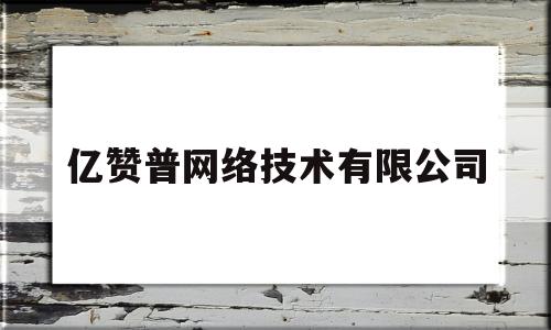 亿赞普网络技术有限公司(亿赞普集团)