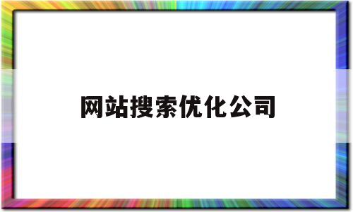 网站搜索优化公司(网站seo搜索引擎优化)