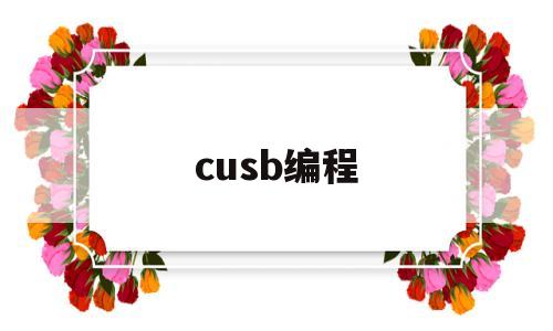 cusb编程(ybc编程)