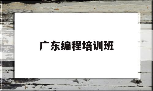 广东编程培训班(广东编程培训班哪家好)