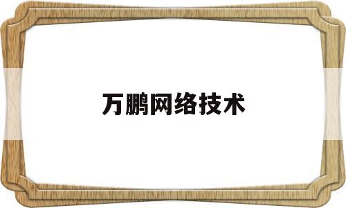 万鹏网络技术(万鹏网络技术招聘)