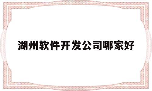 湖州软件开发公司哪家好(湖州软装公司)