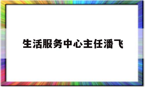 生活服务中心主任潘飞(便民服务中心主任)