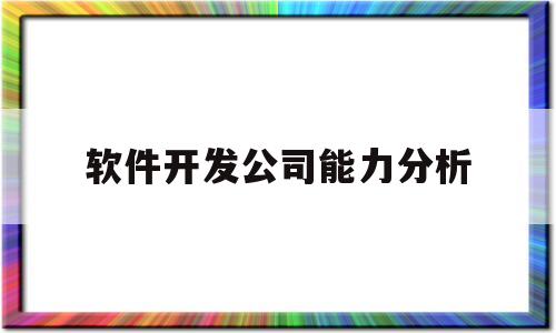 软件开发公司能力分析(软件开发能力怎么写)