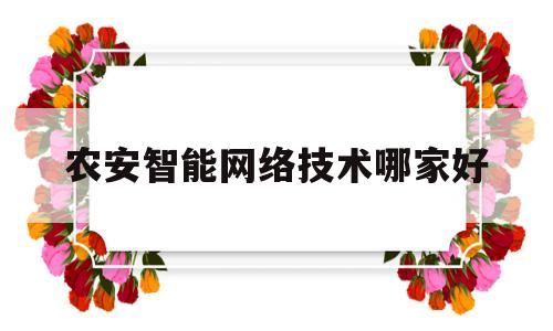 农安智能网络技术哪家好(农安信息科技北京有限公司)