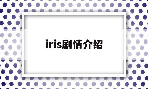 iris剧情介绍(iris剧情分析)