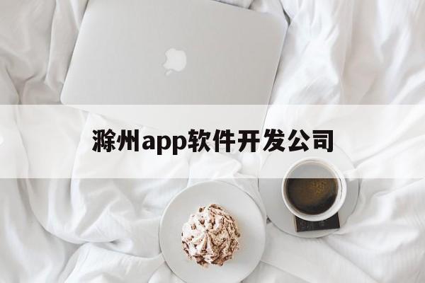 滁州app软件开发公司(滁州软件定制)