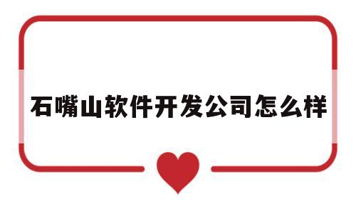 石嘴山软件开发公司怎么样(石嘴山软件下载)