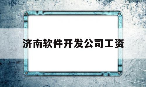 济南软件开发公司工资(济南软件开发有限公司)