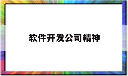 软件开发公司精神(软件开发公司精神分析)