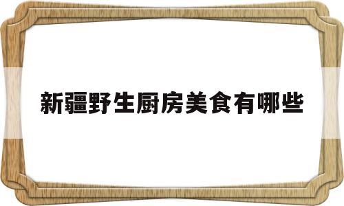 新疆野生厨房美食有哪些(新疆有哪些野菜可以吃)