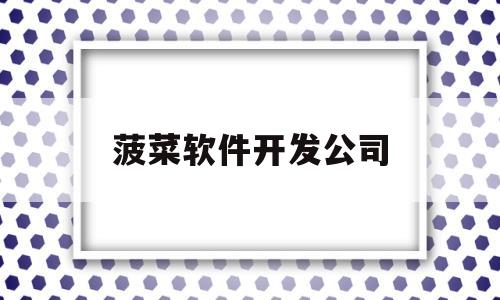 菠菜软件开发公司(菠菜公司下载)