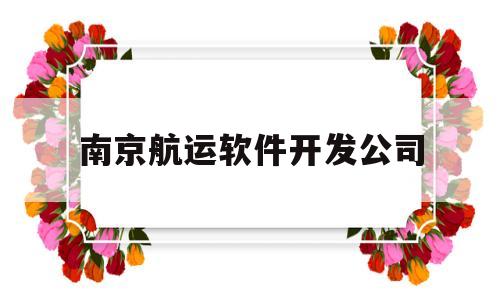 南京航运软件开发公司(南京航运软件开发公司有哪些)