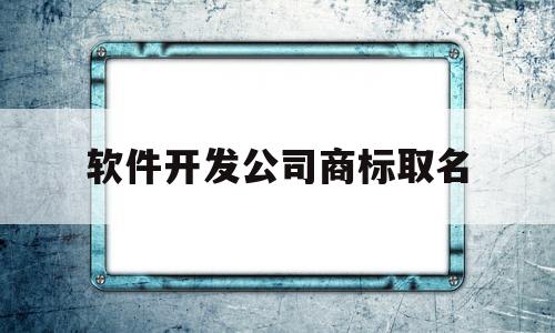 软件开发公司商标取名(软件开发注册商标哪个类别)