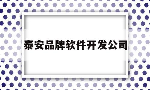 泰安品牌软件开发公司(泰安app软件开发招聘)