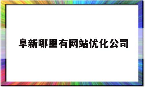阜新哪里有网站优化公司(阜新哪里有网站优化公司啊)