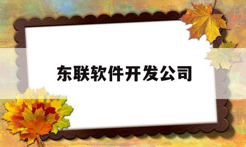 东联软件开发公司(东联科技集团官网)
