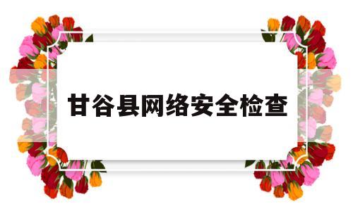 甘谷县网络安全检查(网络安全检查工作实施方案)