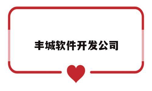 丰城软件开发公司(丰城信息平台)