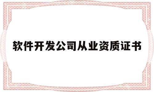 软件开发公司从业资质证书(软件开发企业资质证书)