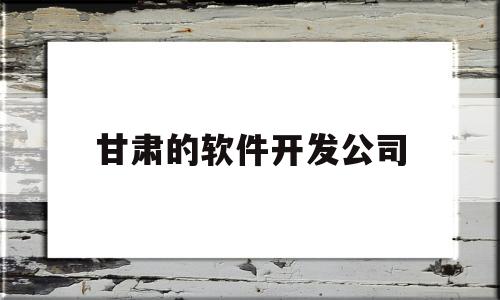 甘肃的软件开发公司(甘肃省软件)