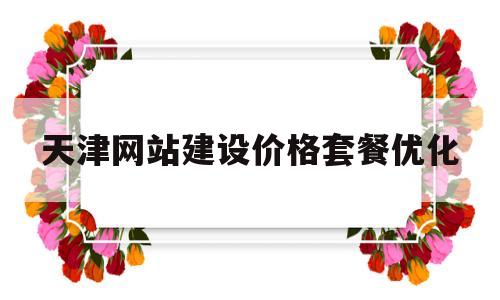 天津网站建设价格套餐优化(天津网站优化方案)