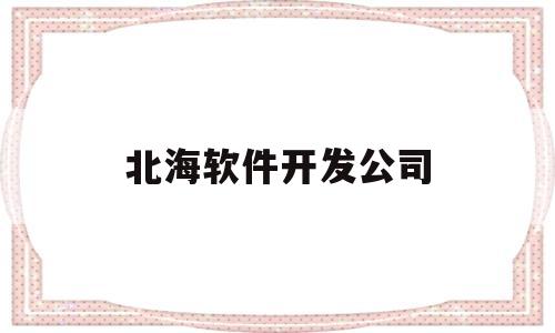 北海软件开发公司(北海app开发公司)
