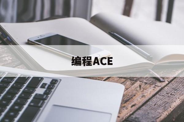编程ACE(编程acc是什么意思)