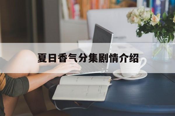 夏日香气分集剧情介绍(夏日香气第一集视频)
