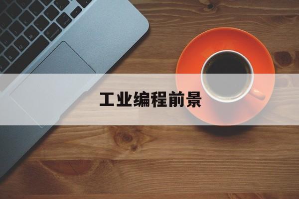 工业编程前景(工业工程学编程吗)