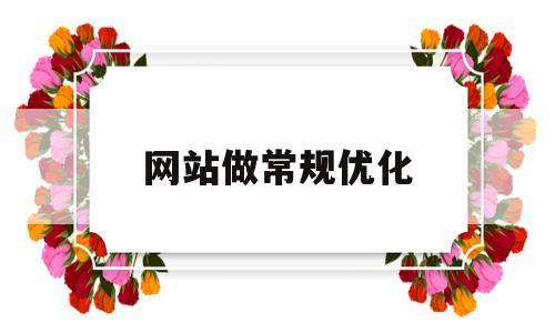 网站做常规优化(做网站的优化)