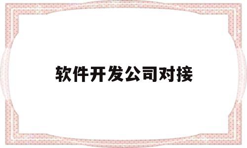 软件开发公司对接(对接软件公司的人员)