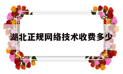 湖北正规网络技术收费多少(湖北开设网络教育的大学)