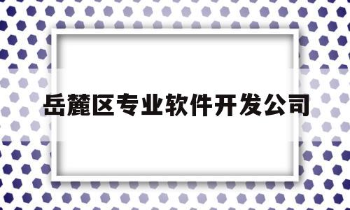 岳麓区专业软件开发公司(岳麓区软件园)