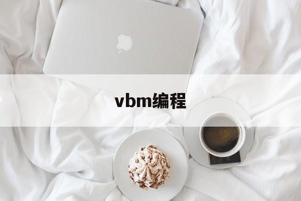 vbm编程(vbmapp评估助手)