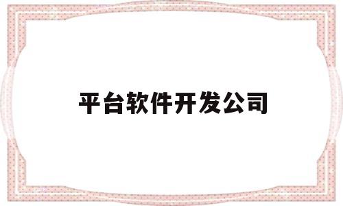 平台软件开发公司(平台软件开发公司有哪些)