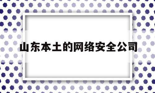 山东本土的网络安全公司(山东本土的网络安全公司有几家)