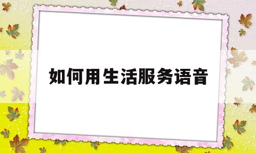 如何用生活服务语音(生活服务小妙招)