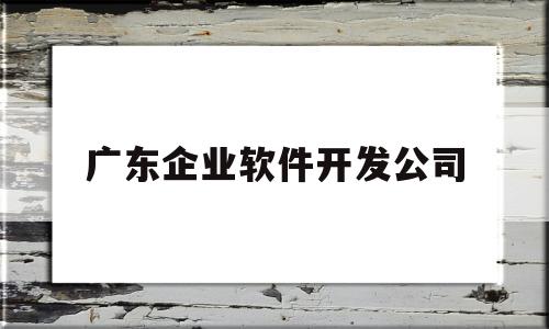 广东企业软件开发公司(广州软件开发公司)