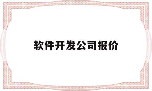 软件开发公司报价(软件开发 报价)