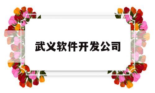 武义软件开发公司(义乌做软件)
