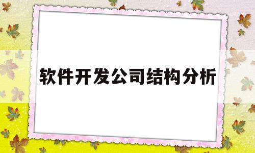 软件开发公司结构分析(软件开发公司组织结构图)