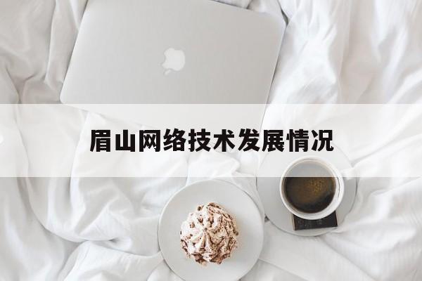 眉山网络技术发展情况(眉山网站建设)